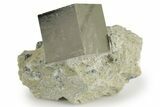 Natural Pyrite Cube In Rock - Navajun, Spain #337870-1
